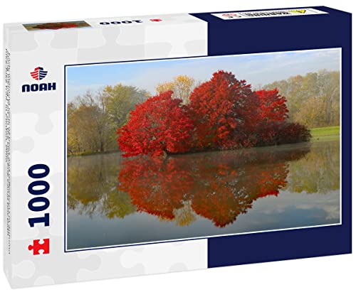 Noah Jigsaw Puzzle Early Morning View of Trees and...