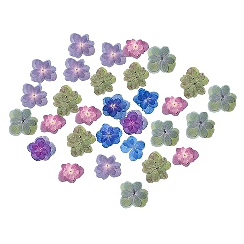 Flores secas doble hortensia 30 piezas para manualidades miniatura 1