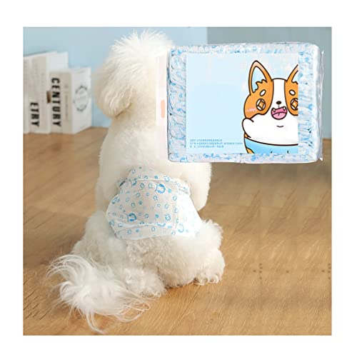 Pañales Perros Machos Adultos Marca 