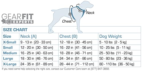 Kurgo Enhanced Strength Tru-Fit Dog Car Harness, Crash Tested, Steel Nesting Buckles, Includes Seatbelt Tether, Extra Small-Black - 5