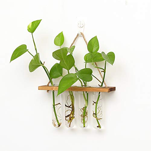 WERTSWF Wall Hanging Glass Planters - Image 4