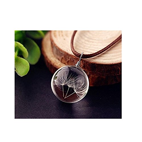 Interesting® Bola de Cristal Transparente Cristal Collar Colgante de Moda joyería de Diente de León