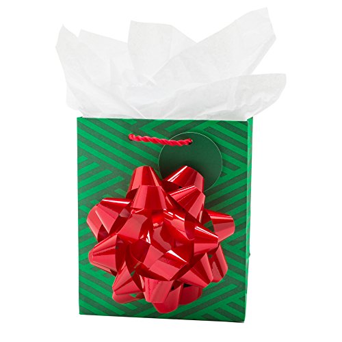 Hallmark Small Christmas Gift Bag with Tissue Paper (Merry Christmas)