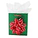 Hallmark Holiday Small Gift Bag with Tissue Paper (Green)