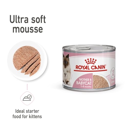 Royal Canin Mother & Babycat Mousse | 12 x 195 g | Alleinfuttermittel für Katzen | Speziell für die Mutterkatze und ihre Welpen | Zur Unterstützung der körpereigenen Abwehrkräfte