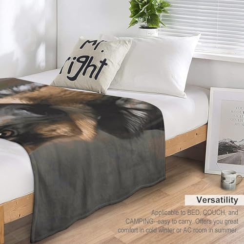 Couverture en flanelle pour chien idéale pour protéger le canapé et le lit - 5