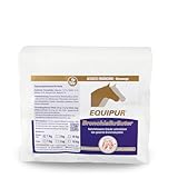 Equipur