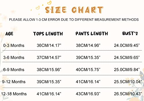 Amawmw Newborn Baby Girl Summer Outfit Short Sleeve Romper Floral Pants Infant Clothing 3-6 Months Baby Girl Clothes Gifts Set #TOP5