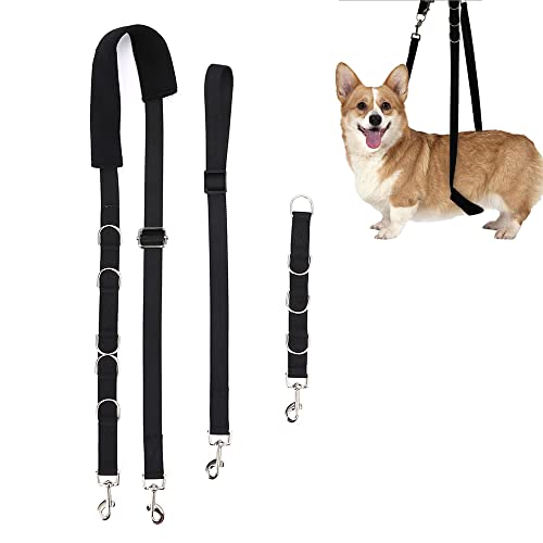Best Sellers The most popular items in Basic Dog Leads