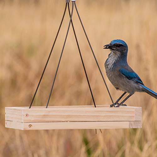 Perky-Pet 50178 Hanging Tray Bird Feeder #TOP2