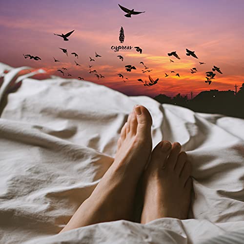 Amazon.co.jp 잠잘때 듣는 포근한 수면음악 14 Soothing Sleeping Music To Listen To
