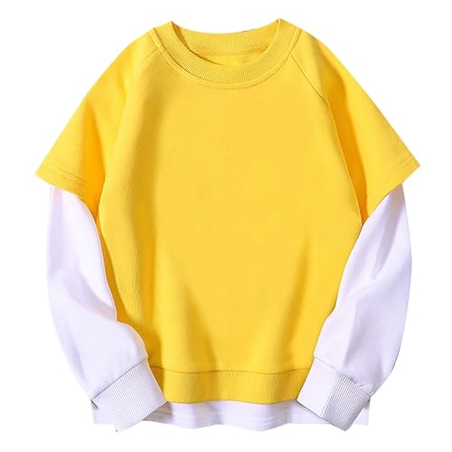 Toddler 𝐂olor Block Sweatshirts Lightweight Crew Neck Drop Shoulder Pullovers Kids Ribbed Trim Casual Loose Tops