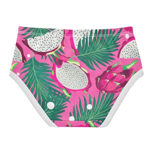 Tropical Dragon Fruit Pink Little Girl Panties Girls Underwear Toddler Cotton Print Underpants Briefs 2t2