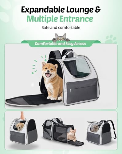 Petcozife Erweiterbar Katzenrucksack Hunderucksack, Katzentasche Faltbare, Haustier Rucksack für Große Katzen & Kleine Hunde bis 8 kg, Cat Backpack für Transport/Reisen/Camping