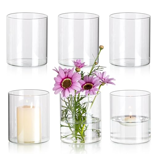 Glasseam Small Clear Cylinder Glass Vase Set of 6 for Flowers 10 x 8.5 cm Bud Vases