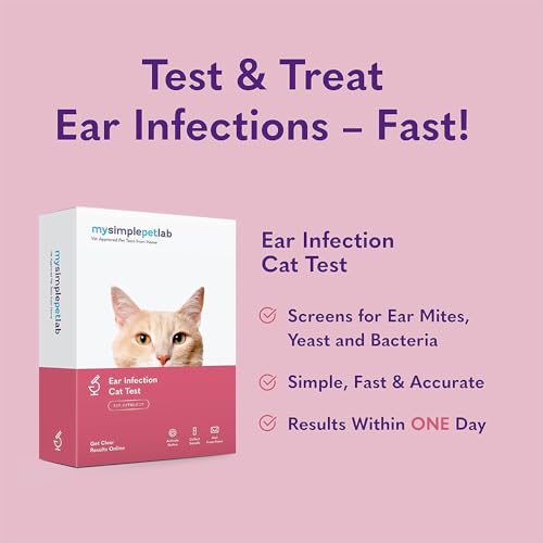 MySimplePetLab Cat Ear Infection Test Kit | Fast and Accurate Detection of Cat Ear Yeast and and other Ear Irritations | Reliable Mail-in Ear Care Cat Test Kit for Smelly, Itchy, or Sore Ears MySimplePetLab Cat Ear Infection Test Kit | Fast and Accurate Detection of Cat Ear Yeast and and other Ear Irritations | Reliable Mail-in Ear Care Cat Test Kit for Smelly, Itchy, or Sore Ears