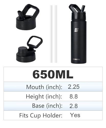 SUNWILL-Stainless-Steel-Water-Bottle-With-Straw-650ml-Insulated-Water-Bottle-Metal-Leakproof-Water-Flask-for-Gym-Travel-Dark
