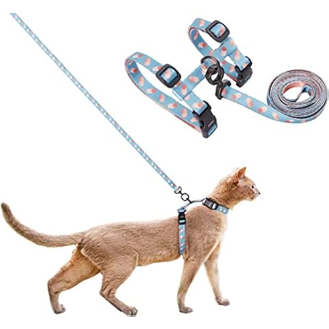 pidan Katzengeschirr und Leine, ausbruchsicher, verstellbares Katzengeschirr für große und kleine Katzen, leicht, weich, für Reisen, haustiersicher, Blau Cover