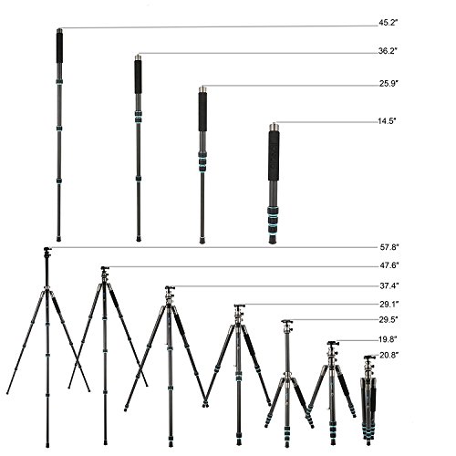 BONFOTO B674C Treppiede Monopiede Compatto Leggero...