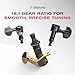 D'Addario Accessories Auto-Trim Tuning Machines - Locking Tuners for Guitars - 6 In Line Setup, Black