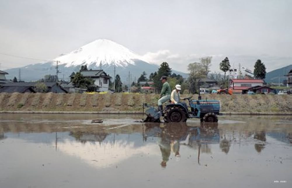 風の旅人 23号から44号まで Amazon.co.jp: 風の旅人 vol.23 : 本