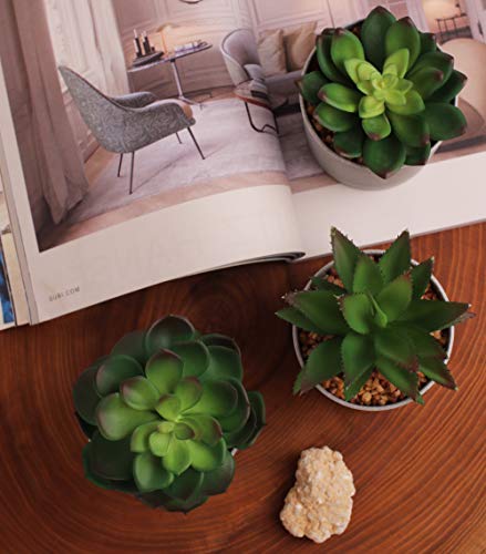EB Designs Set of 3 Artificial Succulent Plants – Fake Greenery in Grey Pots with Pebbles – Decorative Faux Plants for Home, Office, Indoor & Outdoor Use - Cosy Home Interiors EB Designs Set of 3 Artificial Succulent Plants – Fake Greenery in Grey Pots with Pebbles – Decorative Faux Plants for Home, Office, Indoor & Outdoor Use - Image 5