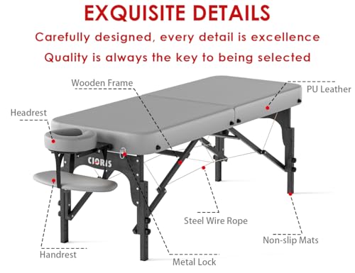 Image of CLORIS 84 inch Professional Massage Table 2 Section Portable Hold Up to 1100LBS