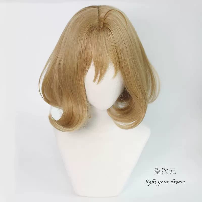 Amazon.co.jp: 勝利の女神 ニケ アニス コスプレウィッグ : ホビー
