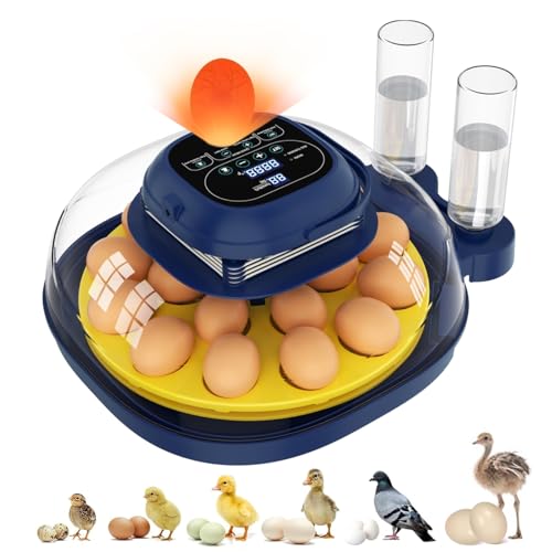 Egg Incubators for Hatching Eggs, Temperature & Humidity Control,...