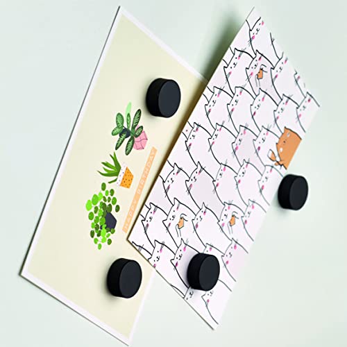 Zeller 11236 Magnet-Set, 4-TLG., extra stark, schwarz, ca. Ø 2,3 x 0,9 cm