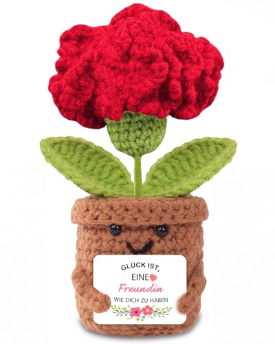 Aruigu Muttertagsgeschenk Geschenke für Mama Mutter - Geburtstagsgeschenk Mama Besondere Mutter Tochter Geschenk Pocket Hug Nelken Positive Potato Kartoffel Serien Gehäkelte Blumen