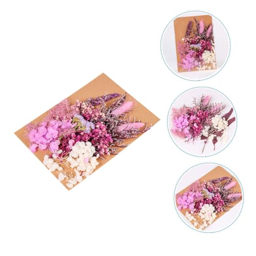 Flores secas decorativas para manualidades DIY miniatura 4