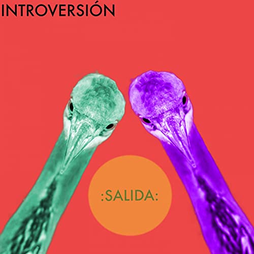 Salida 4 - Ojos de Garza de Introversión en Amazon Music Unlimited