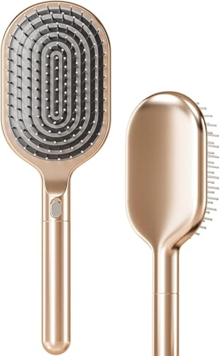 wAuV  ̖ TT  wAPA av[g NX}X Mtg ̓ LO o^C   ސE j 蕨 (ȉ~`)