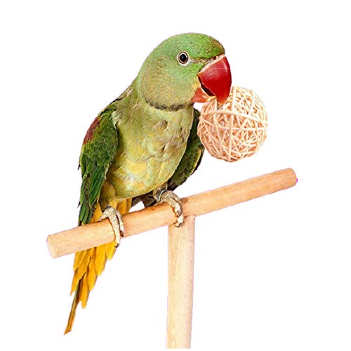 Tfwadmx 10 Pcs Willow Ball, Bird Foraging Toys, Small Animal Chew Toy Activity For Parrot Macaw Hamster Guinea Pig Rat Parakeet Cockatiels Conure Finch Budgerigar Lovebird #TOP2