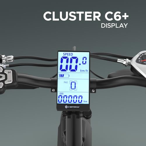 Image of EMotorad Doodle Pro Fat-Tire Foldable Electric Mountain Bike - 250W Rear Hub Motor, 12.75Ah Removable Li-ion Battery, C6+ Display, Front /Rear Lights with Side Indicators (Doodle Pro, Native Pop)