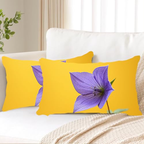 Housse de coussin douce pour soulager les assises dures