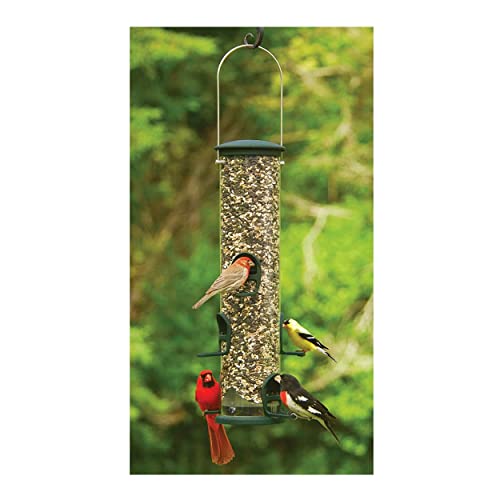 Aspects 421 Spruce Quick Clean Big Tube Feeder, Large, Green