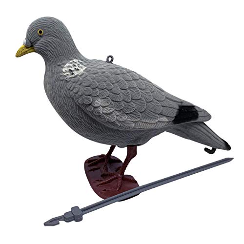 Comparison of Best Pigeon Decoys [Experts 2023 Reviews]