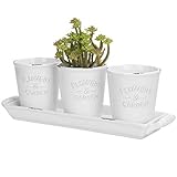 MyGift Set of 3 Farmhouse Style Rustic White Ceramic Succulent Cactus Flower Planter Pots with...