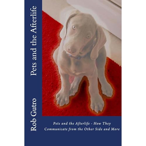 Rob Gutro's Pets and the Afterlife episode artwork