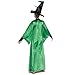 Disguise Womens Professor Mcgonagall Costume, Official Deluxe Harry Potter Wizarding World Dress And Hat Adult Sized, Multicolored, Plus 18-20