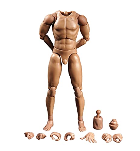 Corps masculin 1/6 AMITD BD001 pour créer des dioramas militaires réalistes