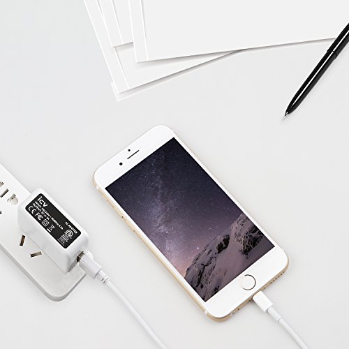 Icv LS-RE306 Usb Wall Charger – 5V 2A 10W Ac Power Adapter thumb #5