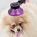 NPET Dog Brush, Self Cleaning Slicker Brush for Cats and Dogs, Gently Removes Loose Undercoat, Mats Tangled Hairs Dog Grooming Kit