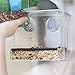 Wild Birds of Joy Window Bird Feeder with Strong Suction Cups and Seed Tray with Drain Holes, Small, Compact, Clear Acrylic, Easy Clean, Outside Feeders for Transparent Viewing