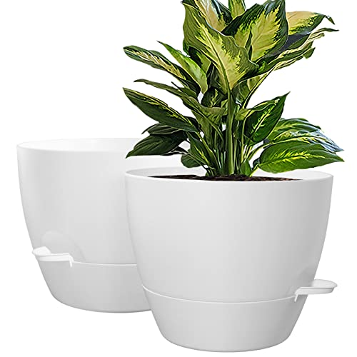 Comparison: Best Pots For Bottom Watering 5 10 inch Self Watering Planters, 2 Pack Large Plastic Plant Pots with Deep Reservior and High Drainage Holes for Indoor Outdoor Plants and Flowers, White