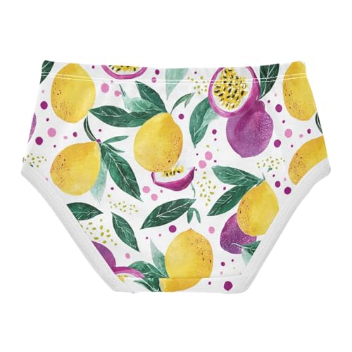 Wusikd Passion Fruits Girls' Underwear Cotton Watercolor Girls Briefs Soft Toddler Underwear 2T2