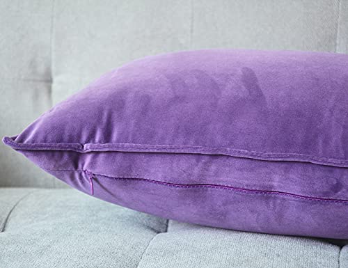 Lutanky Velvet Cushion Covers 30 x 50 cm Violet Decorative Rectangle Throw Pillow Cover (Pack of 2) Soft Oblong Piped Pillowcases for Sofa Bedroom with Invisible Zipper 12x20 Inch - Image 4