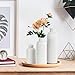 Small White Ceramic Vase Set of 3, Boho Modern White Flower Vase Room Decor, Farmhouse Decor, Vases for Your Kitchen, Bathroom, Bedroom, Living Room, Office&Shelf Centerpiece Table Decorations